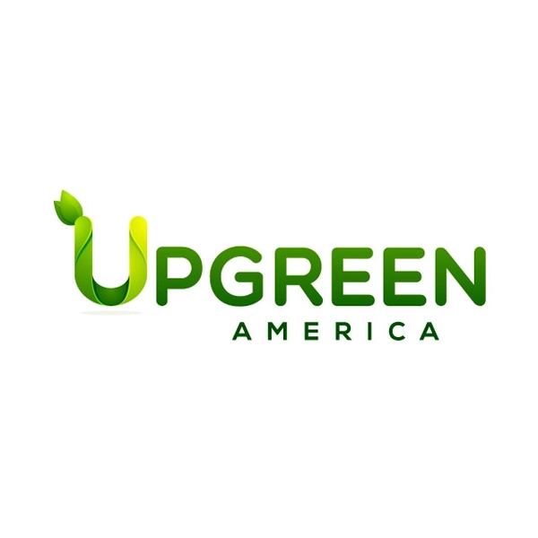 Branding & Logo Design